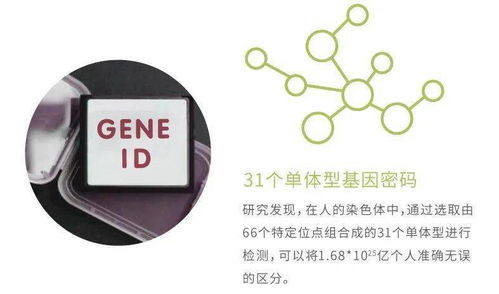 華大基因安馨可基因檢測系列產品全新上市，開啟精準健康管理新時代