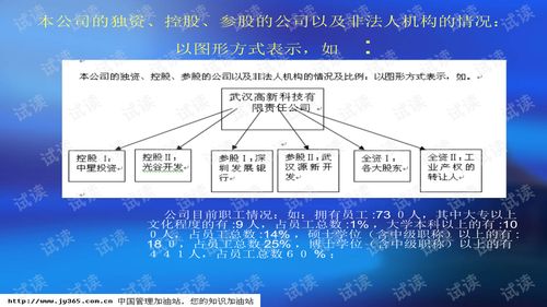 武漢市XX科技開發(fā)有限責(zé)任公司商業(yè)計(jì)劃書